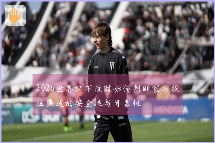 2026世界杯下注时如何判断官方投注渠道的安全性与可靠性