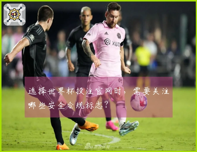 选择世界杯投注官网时，需要关注哪些安全合规标志？