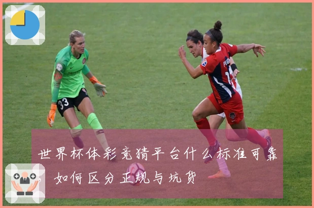 世界杯体彩竞猜平台什么标准可靠，如何区分正规与坑货