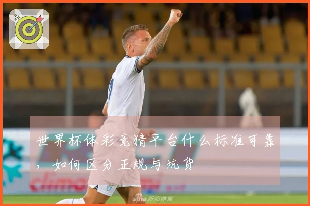 世界杯体彩竞猜平台什么标准可靠，如何区分正规与坑货