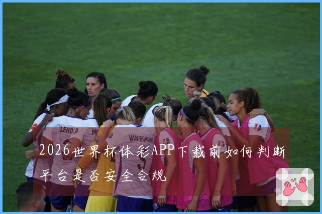 2026世界杯体彩APP下载前如何判断平台是否安全合规